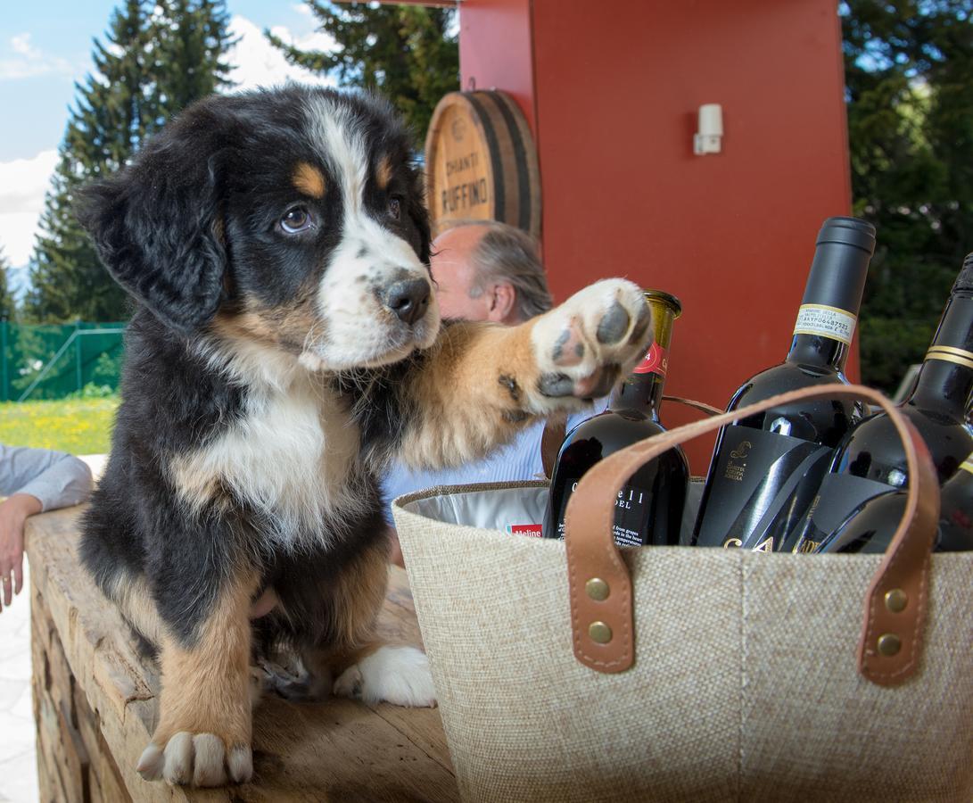 Erlebacherhus Lenzerheide Zewnętrze zdjęcie
